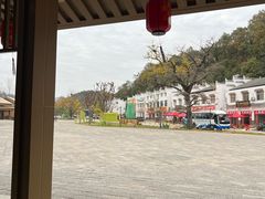 -千年银杏谷文化旅游区