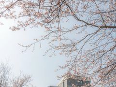 -东南大学(九龙湖校区)