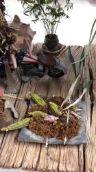 -周忆刺青原创设计定制