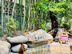 -观唐（国际）度假村温泉