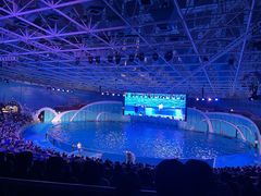 -海合安青岛极地海洋公园