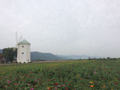 -曲江薰衣草庄园