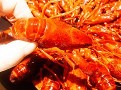 -一棠龙虾(徐家汇城开YOYO店)