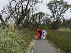 -白鹭湾湿地公园