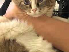 -白兔子密室(长寿路店)