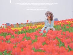 -杭州湾海上花田景区