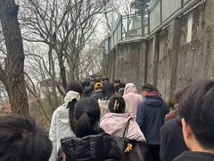 -灵顺寺