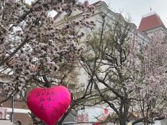 -天津五大道文化旅游区