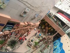 -陕西自然博物馆