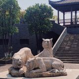 长沙周边亲子游🟠藏于静谧茶乡的老虎园子🐯