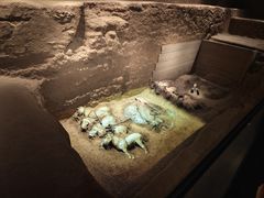 -秦始皇帝陵博物院-丽山园