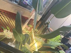 -简普菜烤鱼(苏宁生活广场店)