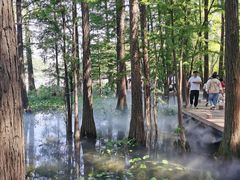 -东湖落雁景区