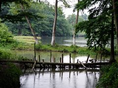 -桤木河湿地公园