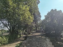 -无锡梅园公园