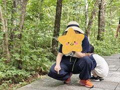 -汤旺河林海奇石景区