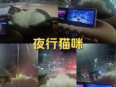 -深圳野生动物园