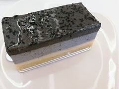 -Seesaw Coffee(上海国金中心店)