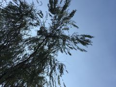 -钟山体育运动公园