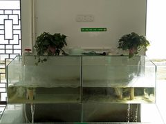 -七的湖·晚芳亭·阳澄湖农家菜·大闸蟹(莲花岛店)