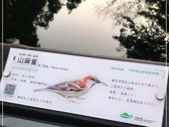 -阿哈湖国家湿地公园