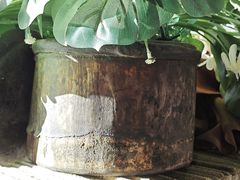 -玛吉阿米·餐吧