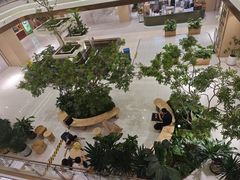 -国芳中心