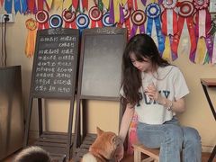 -柴犬高等学院·狗咖·柴犬售卖·宠物训练