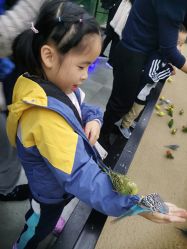 点击看大图 -酷嗒动物文化乐园(cutezoo西溪乐天城店)