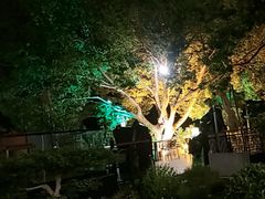 -蘇河湾·新鲁菜·泰山宴(泰山店)