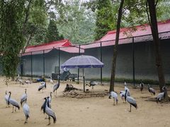-秦皇岛野生动物园