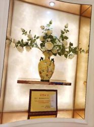 -茜尔维亚修身连锁(杨浦五角场店)