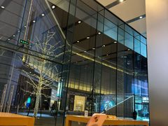 -Apple零售店(华贸购物中心店)