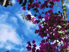 -海韵人家.海景花园经典云南菜(双廊店)