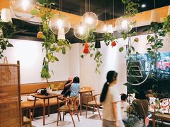 -柴务处·柴犬主题狗咖