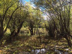 -叠溪松坪沟景区