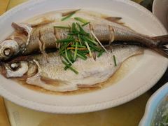清蒸白鱼-醉香园(长江北路店)