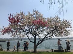 -浙江省博物馆(孤山馆区)