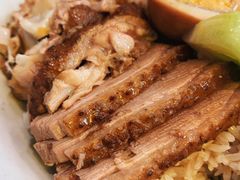 招牌元气鹅肉饭-e公馆鹅肉饭店·潮汕卤鹅(西平店)