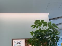 -长风拨筋养身(金虹桥店)