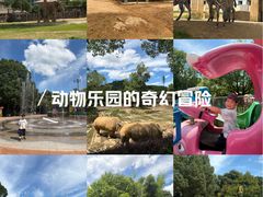 -杭州野生动物世界