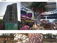 -南通洲际绿博园