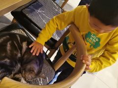 -平行世界·猫咖(首经贸店)