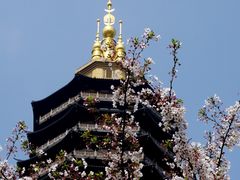 -红梅公园