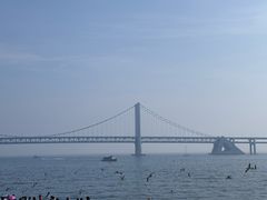 -星海广场