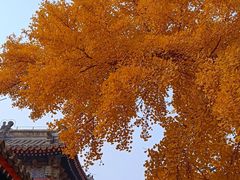 -承恩寺