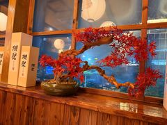 -鸟鹏烧鸟居酒屋(龙岗万科店)