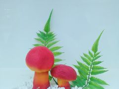-鲜菌江湖正宗野生菌火锅