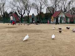 -上海大学(宝山校区)