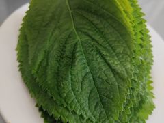 -松明一烤肉馆(鲁园店)
